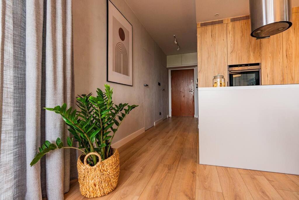 Apartament Na Grabiszynskiej Wroclaw Bagian luar foto